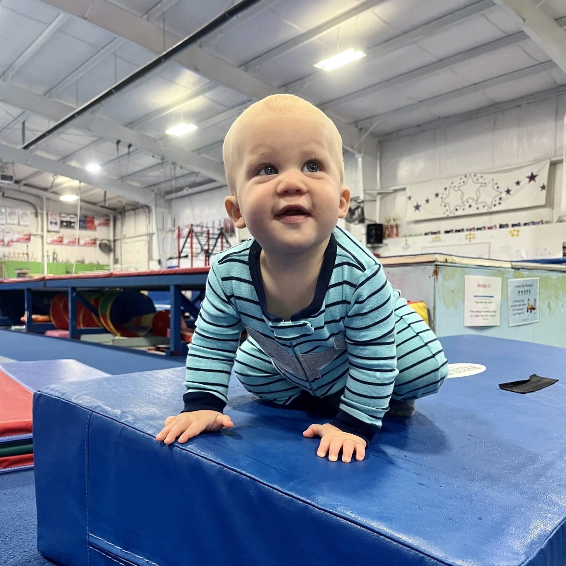 Bitty Baby Gymnastics 